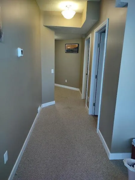 Apartment Spacious One Bedroom Walkout Basement Suite Calgary