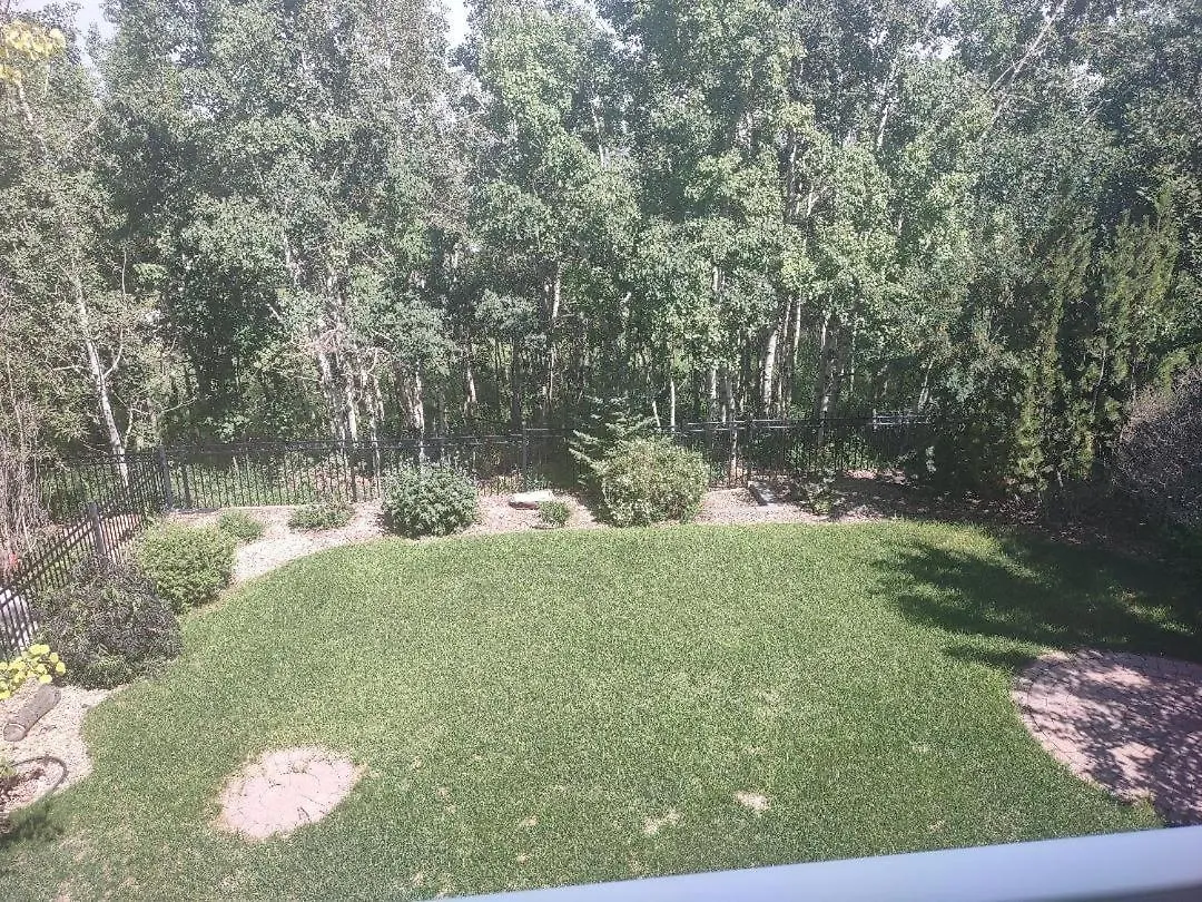 Spacious One Bedroom Walkout Basement Suite contacts