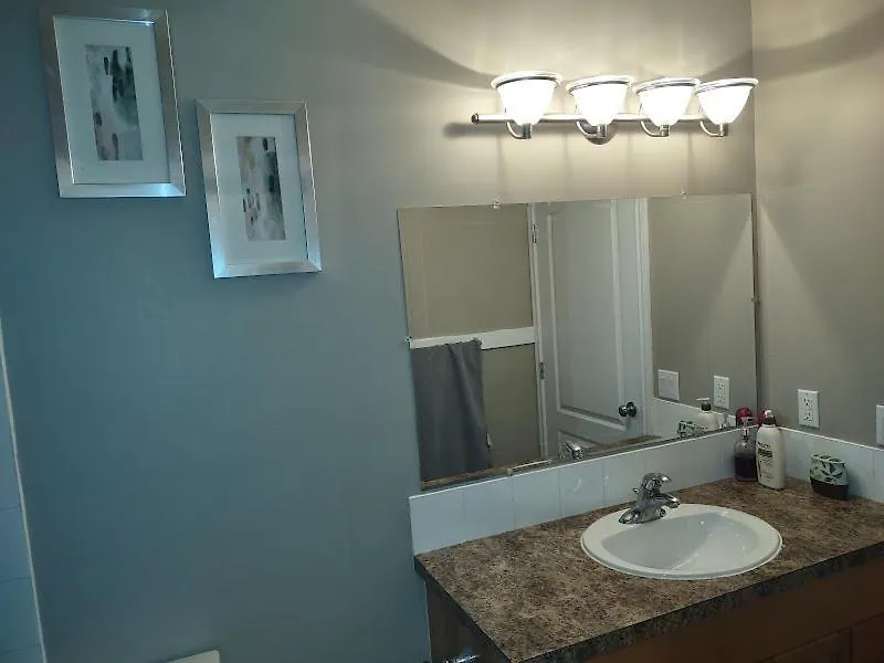 Spacious One Bedroom Walkout Basement Suite Calgary 0*,